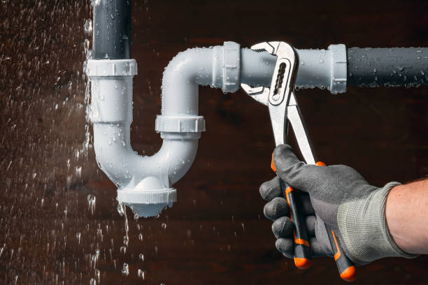 Professional Leak Detection technician working in Azalia, MI